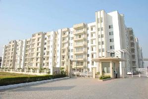 1 BHK Farm House for Sale in Sector 115 Mohali