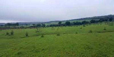  Agricultural Land for Sale in Vidhyadhar Nagar, Jaipur