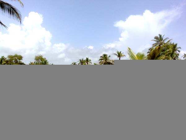 Commercial Land 57000 Sq. Meter for Sale in