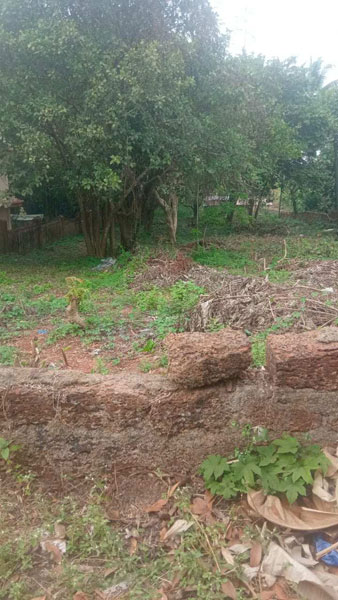  Commercial Land 750 Sq. Meter for Rent in Sequeira Vaddo, Candolim, Goa