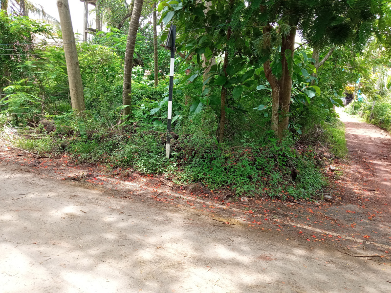  Residential Plot 210 Sq. Meter for Sale in Sodiem Siolim, North Goa, 