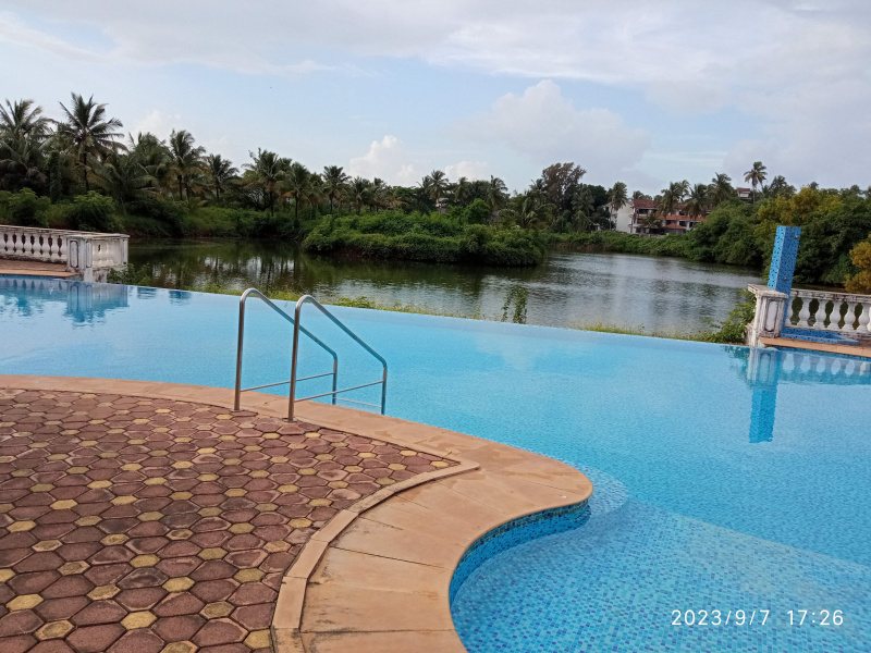 1 RK Apartment 580 Sq.ft. for Rent in Arpora, Goa