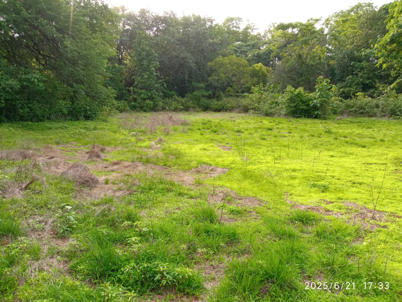  Residential Plot 3800 Sq. Meter for Sale in Revora, Goa
