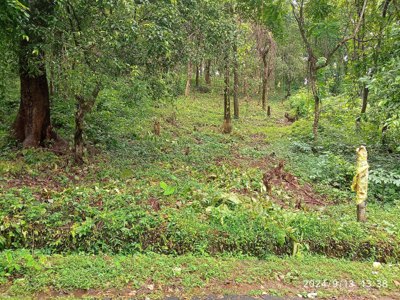  Residential Plot 10500 Sq. Meter for Sale in Pomburpa, Goa