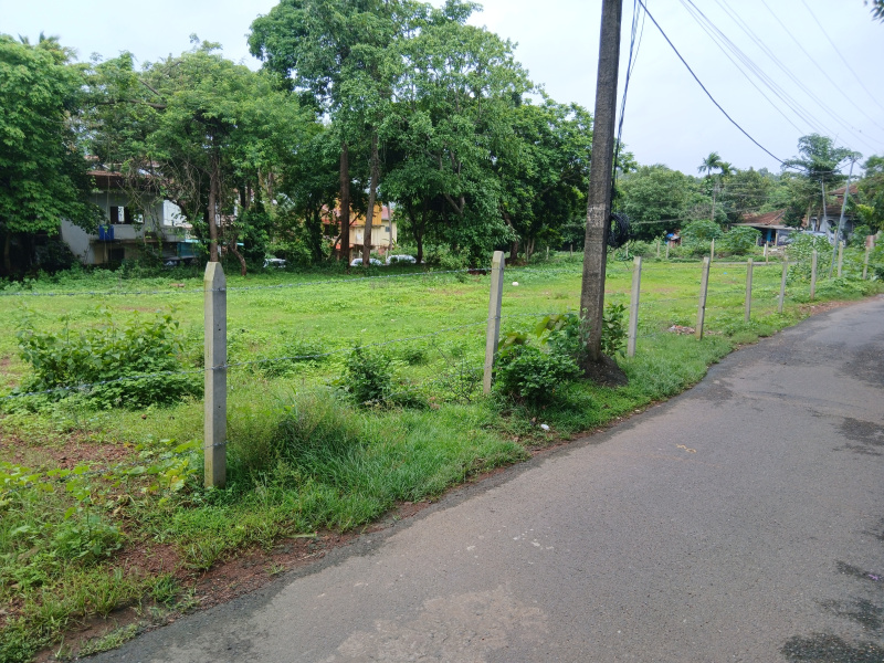  Residential Plot 3500 Sq. Meter for Sale in Socorro, North Goa, 