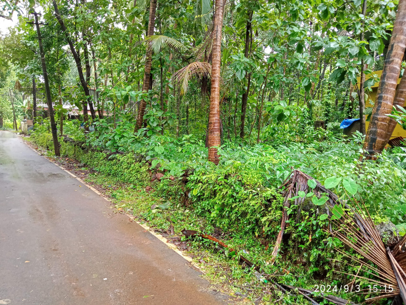  Residential Plot 1900 Sq. Meter for Sale in Anjuna, North Goa,