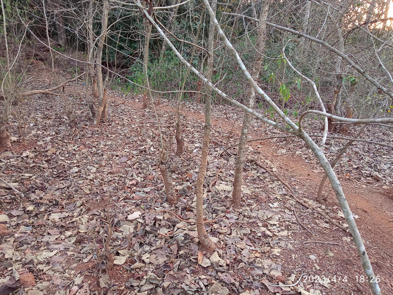 Residential Plot 4525 Sq. Meter for Sale in Bastora, Goa