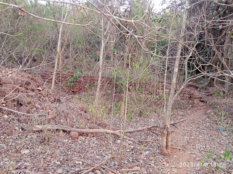  Residential Plot 4525 Sq. Meter for Sale in Bastora, Goa