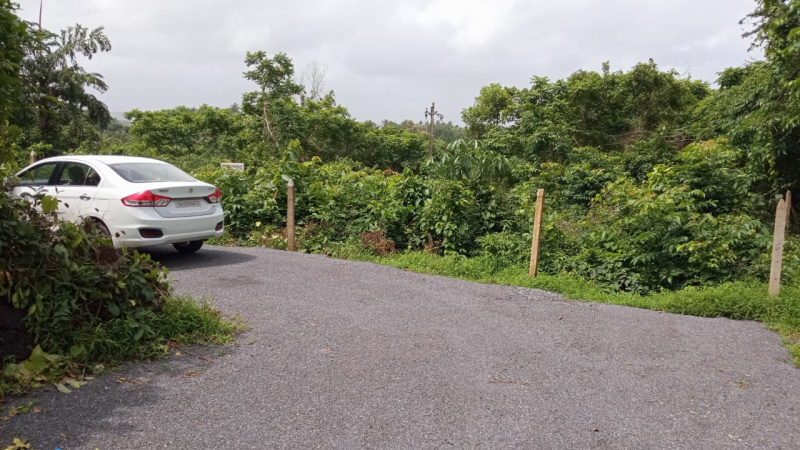  Residential Plot 4000 Sq. Meter for Sale in Aldona, Goa