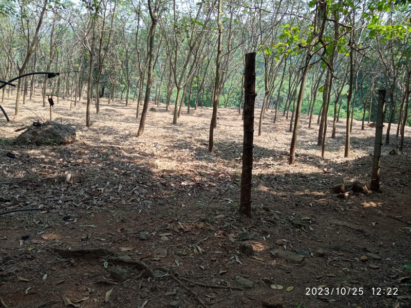  Residential Plot 850 Sq. Meter for Sale in Tivim, North Goa, 
