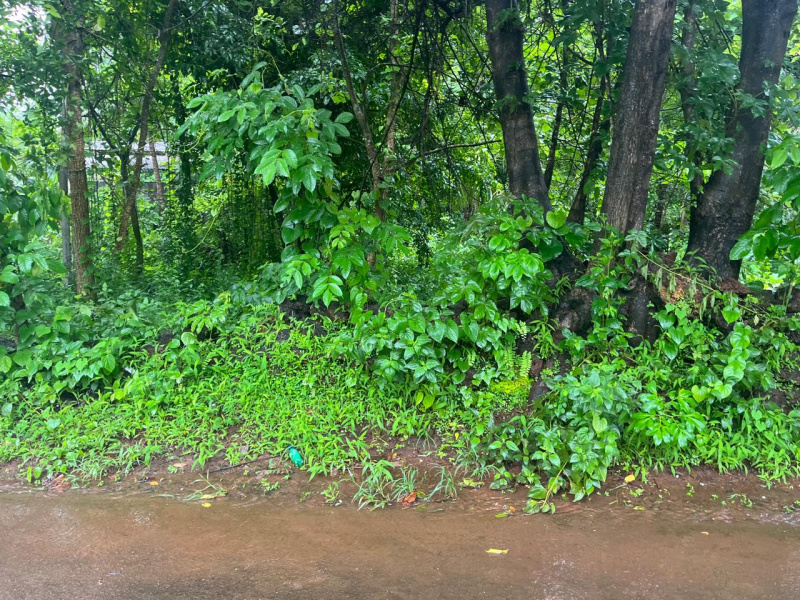  Residential Plot 500 Sq. Meter for Sale in Tivim, North Goa, 