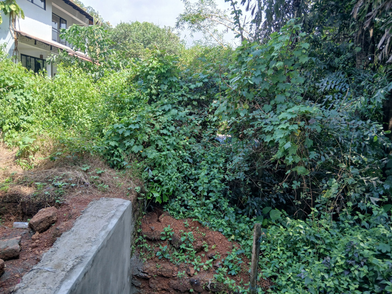  1000 Sq. Meter Residential Plot for Sale in Sangolda, Goa