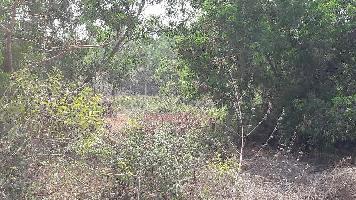  Residential Plot for Sale in North Goa
