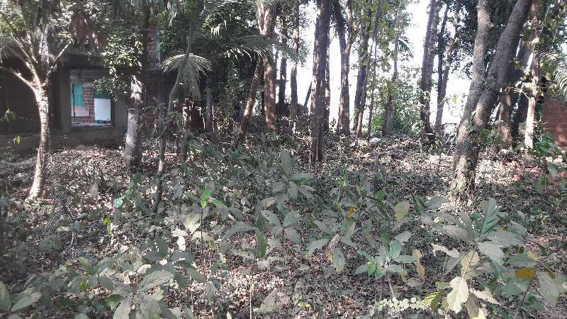  Residential Plot 550 Sq. Meter for Sale in Salvador Do Mundo, Bardez, Goa