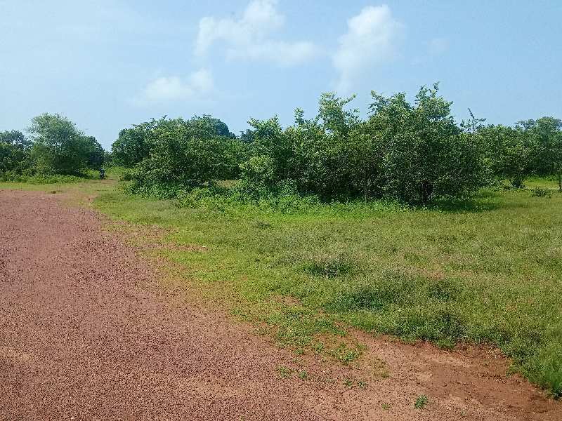  Residential Plot 50000 Sq. Meter for Sale in Alto Porvorim, Goa