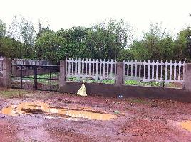  Residential Plot for Sale in Chorao, Goa