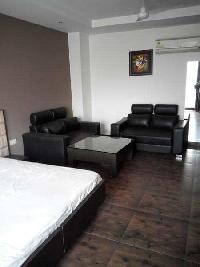 1 BHK Flat for Rent in Pamposh Enclave, Delhi