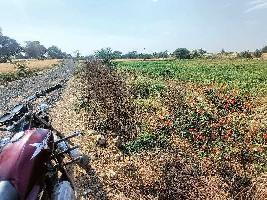  Agricultural Land for Sale in Ishwarkhedi, Dewas