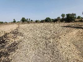 Agricultural Land for Sale in Tillor Khurd, Indore