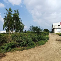  Industrial Land for Sale in Bardari, Indore