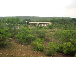  Agricultural Land for Sale in Bhedaghat, Jabalpur