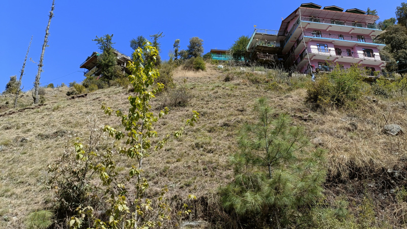  Residential Plot 2 Bigha for Sale in Mashobra, Shimla