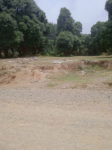 Agricultural Land 1100 Acre for Sale in Baijnath, Kangra
