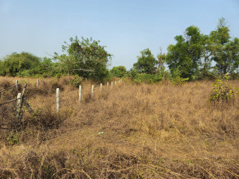  Agricultural Land for Sale in Mangaon, Raigad