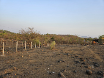  Commercial Land for Sale in Mangaon, Raigad