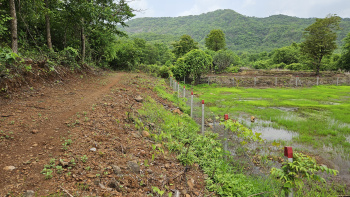  Agricultural Land for Sale in Tala, Raigad