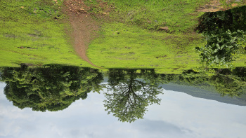  Agricultural Land for Sale in Mangaon, Raigad