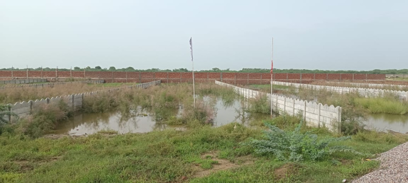  Residential Plot 13 Acre for Sale in NH-19, Vrindavan
