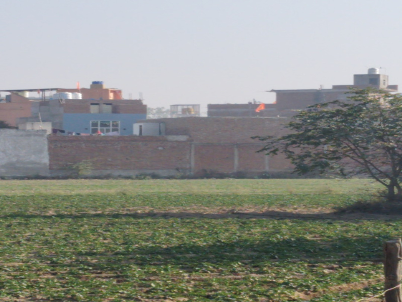  700 Sq. Yards Commercial Land for Sale in Chhatikara Road, Vrindavan
