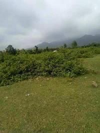  Agricultural Land for Sale in Kumarhatti, Solan