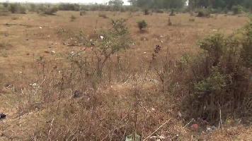  Residential Plot for Sale in Ayodhya Bypass, Bhopal