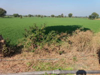  Agricultural Land for Sale in Shamshahbad, Vidisha