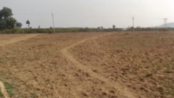  Agricultural Land for Sale in Sleemanabad, Katni