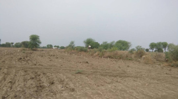  Agricultural Land for Sale in Unchehara, Satna