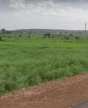  Agricultural Land for Sale in Ghatigaon, Gwalior