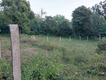  Agricultural Land for Sale in Amb, Una