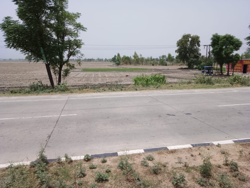  6 Acre Agricultural/Farm Land for Sale in Dirba, Sangrur