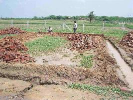  Agricultural Land for Sale in Pandhurma, Yavatmal, Yavatmal