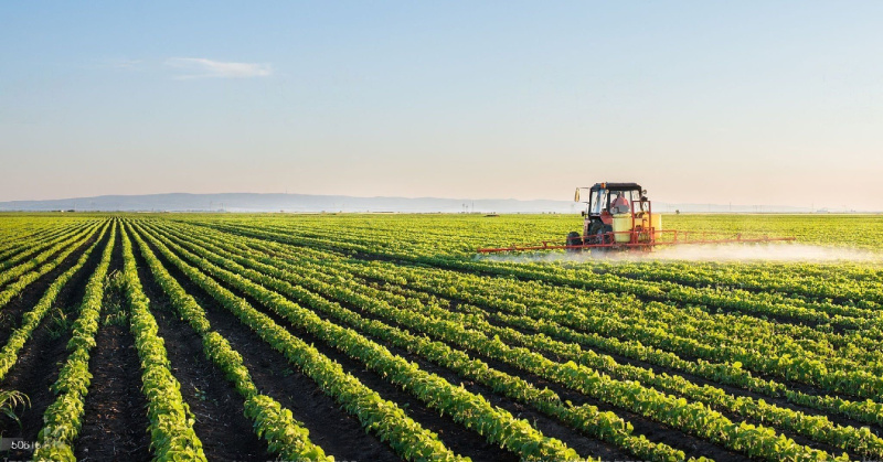  65340 Sq.ft. Agricultural/Farm Land for Sale in Old Dhamtari Road, Raipur