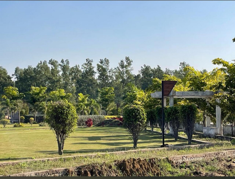  1000 Sq.ft. Residential Plot for Sale in Vidhan Sabha Road, Raipur