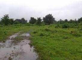  Residential Plot for Sale in Lohegaon, Pune