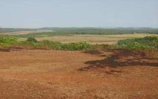  Residential Plot for Sale in Lohegaon, Pune