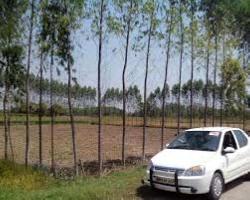 Agricultural Land for Sale in Sector 144 Noida