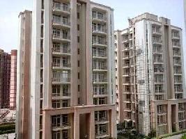 2 BHK Flat for Sale in Sector 10 Sonipat