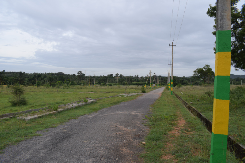  Residential Plot 1200 Sq.ft. for Sale in Bannur, Mysore