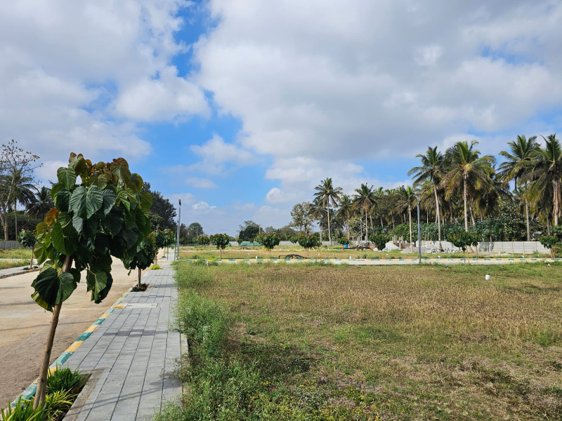  Residential Plot 1200 Sq.ft. for Sale in Bogadi Gaddige Road, Mysore